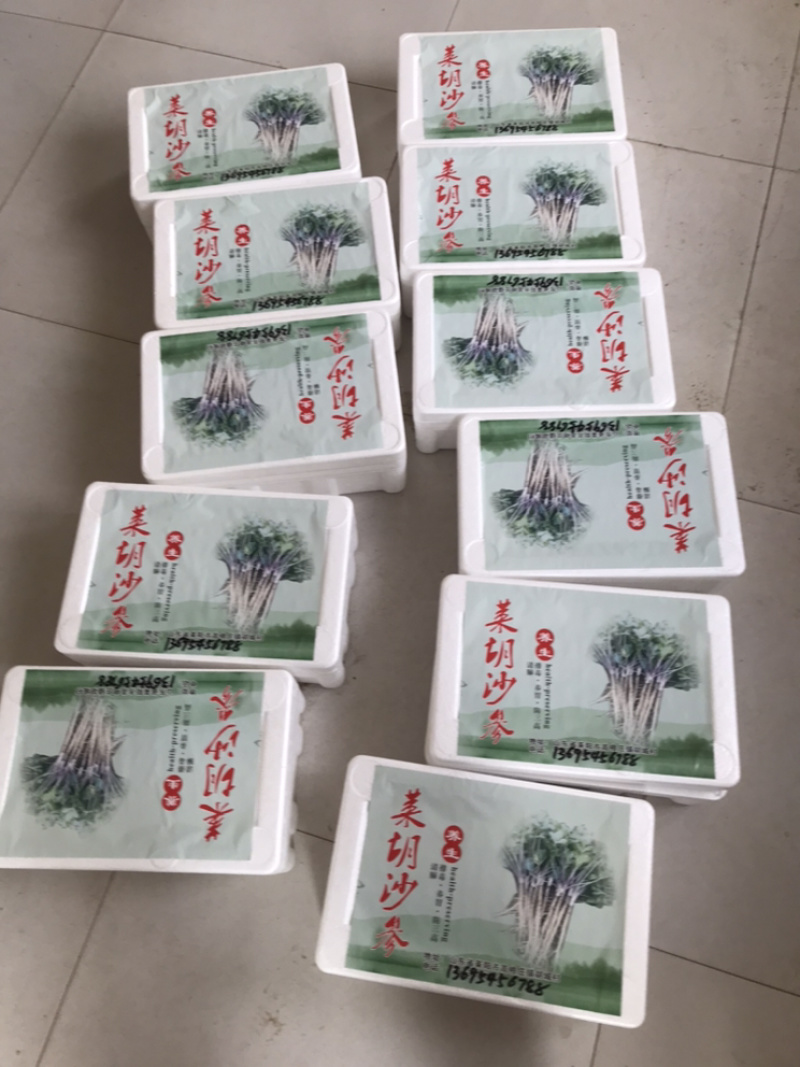 沙参鲜货！（现挖，统货，包质量）正宗的原产地！可以来实地