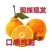 假丑橘大泡果丑柑.丑桔.不知火75起步现採现发，货源充足
