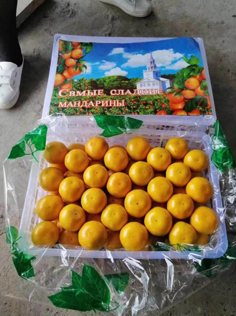 蜜橘，湖北早熟叶橘大量上市，货源充足，质量上乘，价格便宜