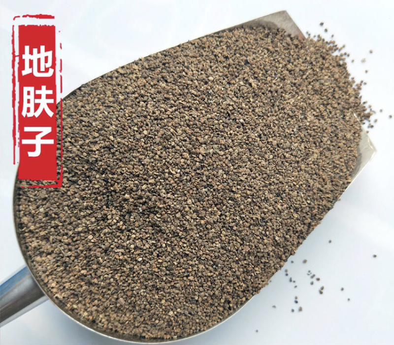 地肤子地肤籽保庆药业批发地肤籽实物拍摄！