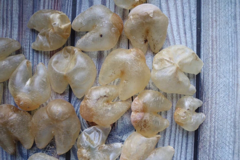 40头鸡泡胶缅甸进口鱼胶花胶水产干货批发代发送礼礼盒