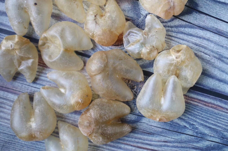 40头鸡泡胶缅甸进口鱼胶花胶水产干货批发代发送礼礼盒