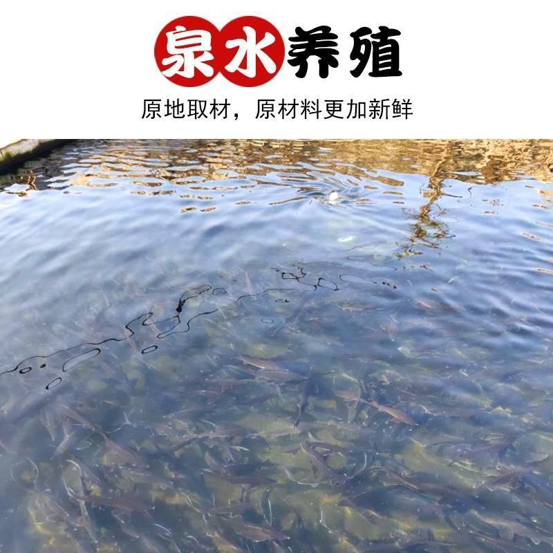 鲟龙鱼，无刺鲟龙鱼软骨脆骨新鲜海鲜水产鲜活生鲜食用活