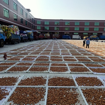 福建青梅腌制厂含义富硒营养