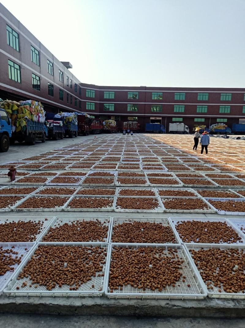 福建青梅腌制厂含义富硒营养
