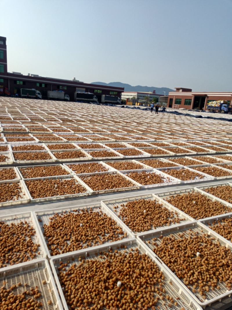 福建青梅腌制厂含义富硒营养