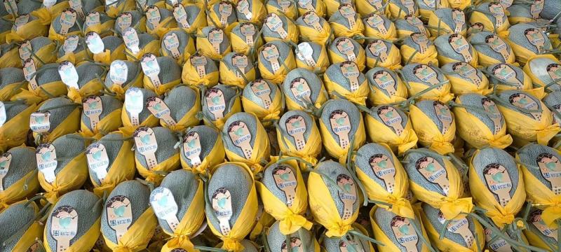 山东西州蜜25，产地一手货源承接各大市场超市电商