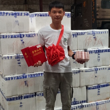 蒜苗，小瓜，白菜，京包看客户需要可以配货欢迎各位老板合作