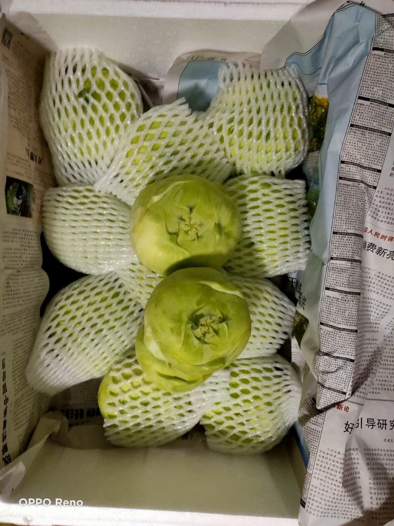 蒜苗，小瓜，白菜，京包看客户需要可以配货欢迎各位老板合作