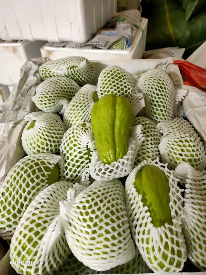 蒜苗，小瓜，白菜，京包看客户需要可以配货欢迎各位老板合作