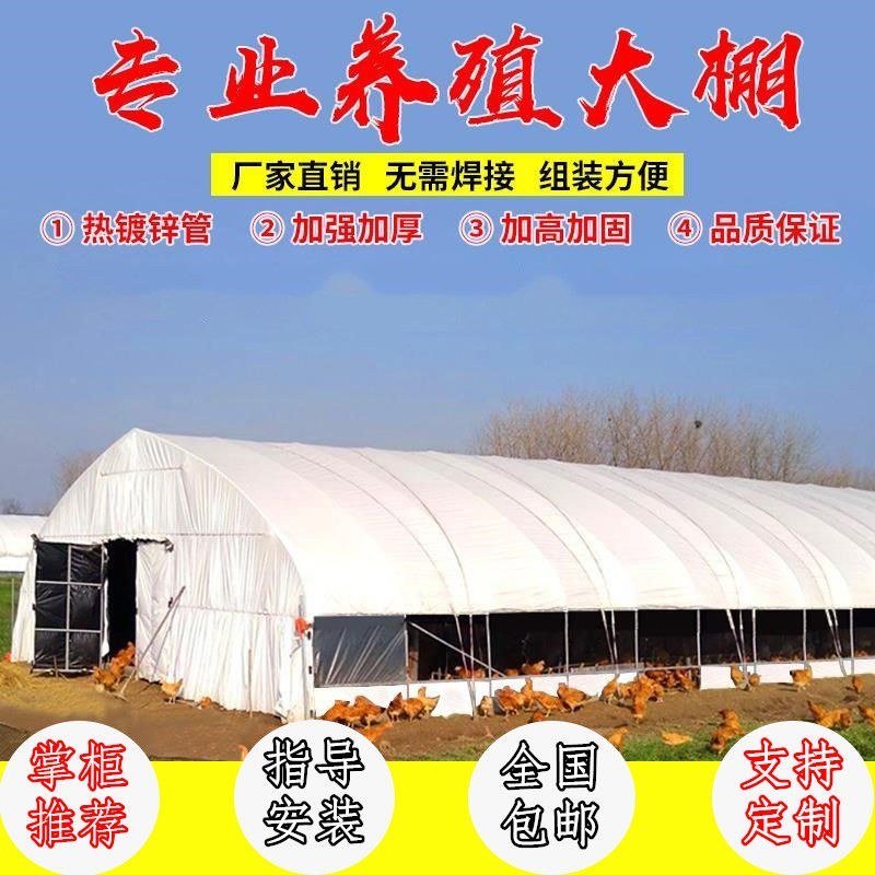 大棚骨架大棚钢管养殖大棚骨架养猪棚鸡舍养殖大棚全套温