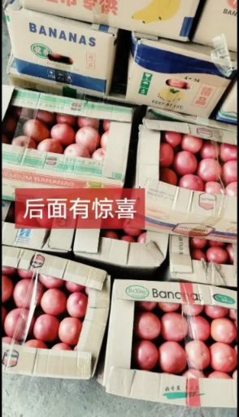 【热卖】新乐市硬粉西红柿大量上市产地直发一件代发