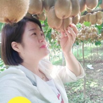 眉县红阳徐香猕猴桃值得拥有、分享……果园直销，优惠多多