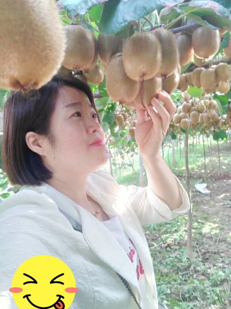 眉县红阳徐香猕猴桃值得拥有、分享……果园直销，优惠多多