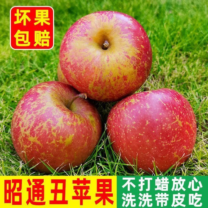 昭通丑苹果十斤装68一箱包邮团购更优惠
