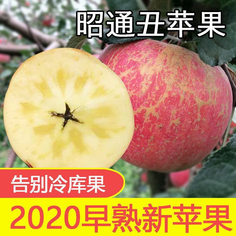 昭通丑苹果十斤装68一箱包邮团购更优惠