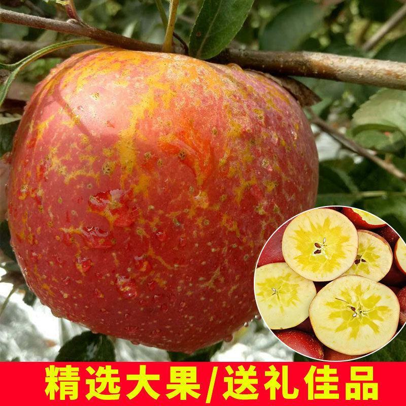 昭通丑苹果十斤装68一箱包邮团购更优惠