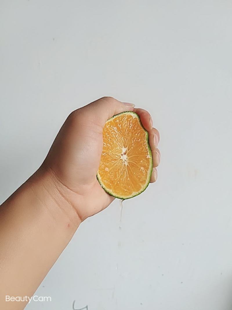 早熟蜜橘产地直发对接全国电商社区团购质量保证