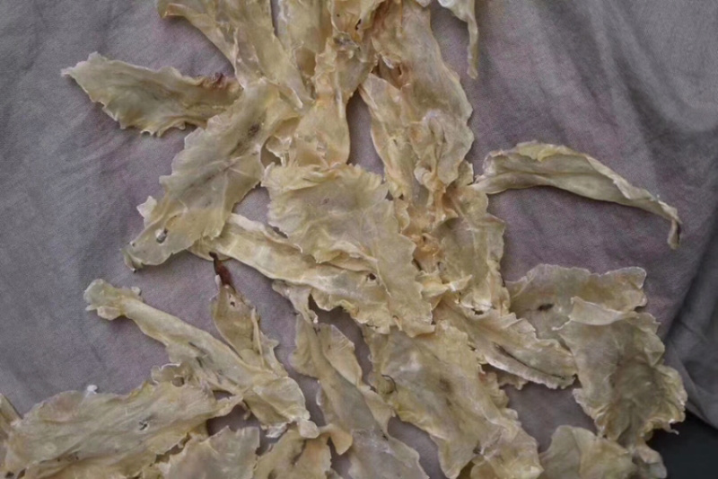 400头冰岛鳕鱼胶足干花胶水产干货批发代发