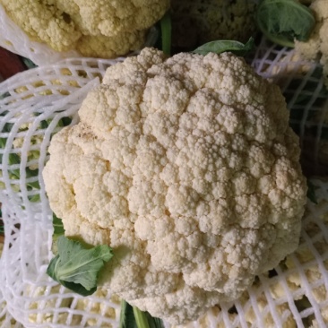 有机花菜现已大量上市质量好欢迎采购