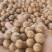 新鲜的夏威果/坚果干果