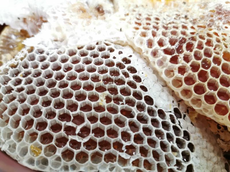 云南纯真蜂蜜溯源云县信合农业发展有限公司