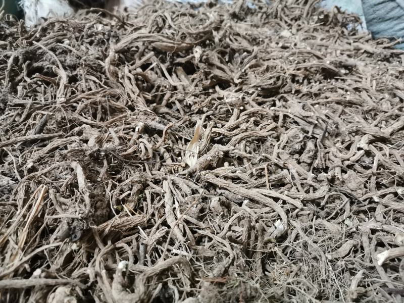续断云南续断云县信合农业发展有限公司