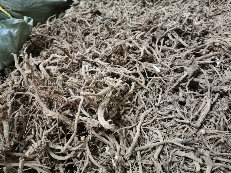 续断云南续断云县信合农业发展有限公司