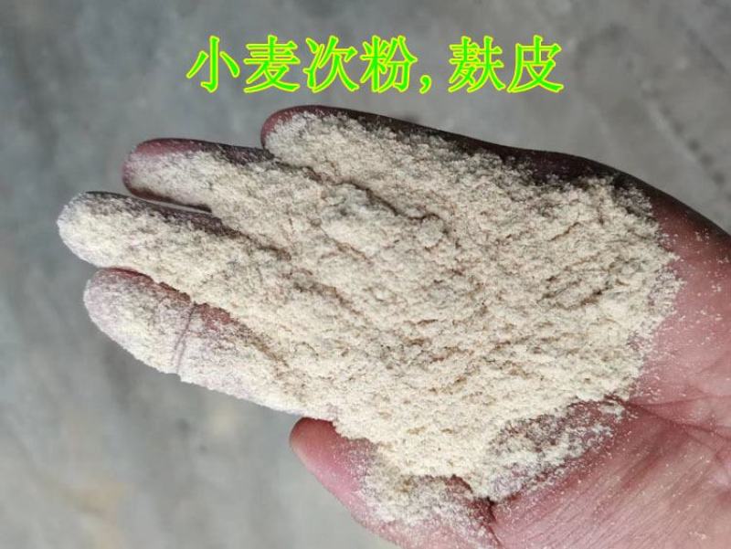 棉饼棉粕棉籽仁粉去壳棉籽药用棉籽棉子仁全棉籽棉花纤维