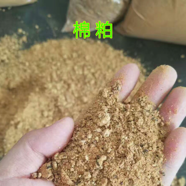 新疆棉粕棉饼育肥饲料黄牛棉籽棉籽仁棉花籽毛籽西门塔牛