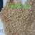 奶牛棉籽黄牛棉籽育肥饲料棉粕光籽不孕籽棉饼牧场棉籽