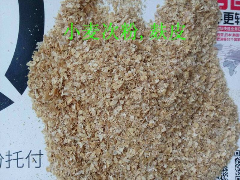 奶牛棉籽黄牛棉籽育肥饲料棉粕光籽不孕籽棉饼牧场棉籽