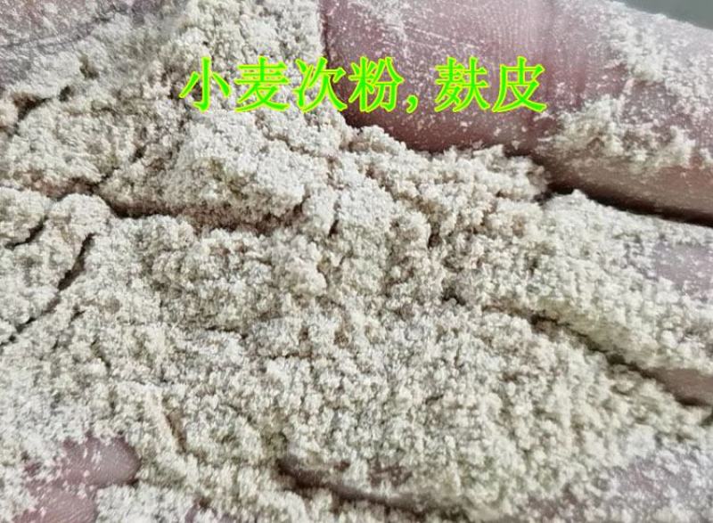 奶牛棉籽黄牛棉籽育肥饲料棉粕光籽不孕籽棉饼牧场棉籽
