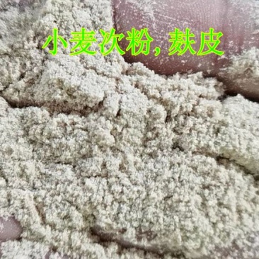 大片混合麸皮小麦次粉小麦麦壳麦糠，麦漏小麦下脚料，瘪麦