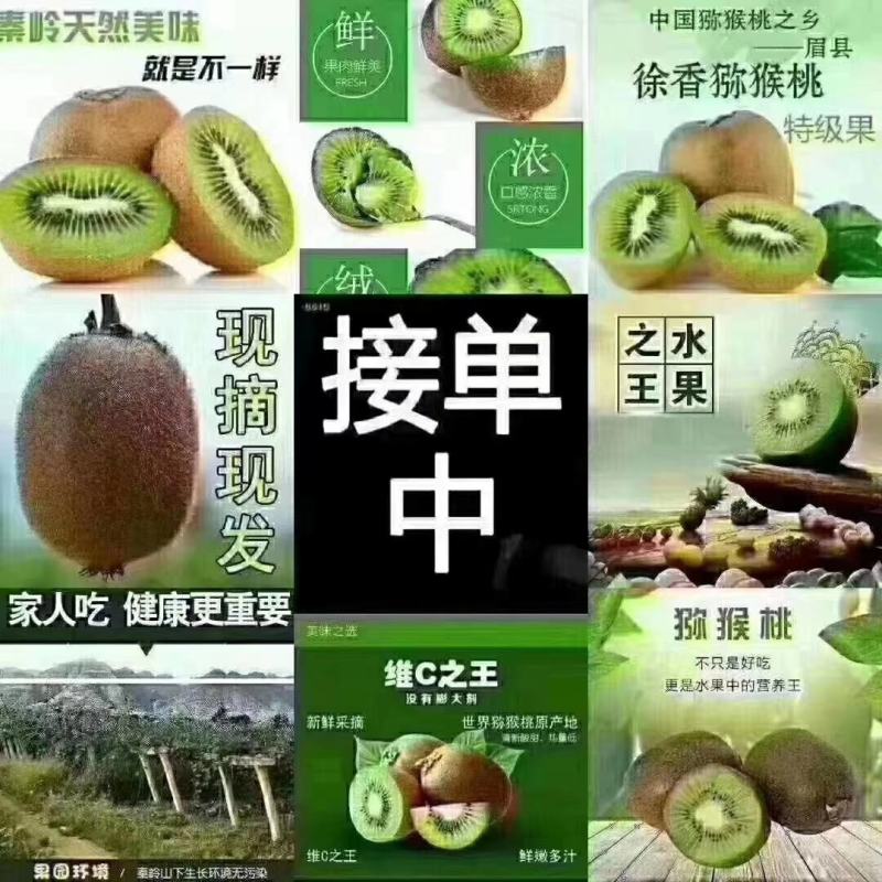 眉县徐香猕猴桃现摘现发，果农直销，支持一件代发全国包邮