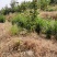 20%草铵膦5公斤*4壶除草剂牛筋草小飞蓬效果好