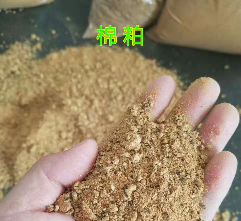 麸皮夫子麦皮麦子麦麸粉育肥饲料奶牛黄牛饲料