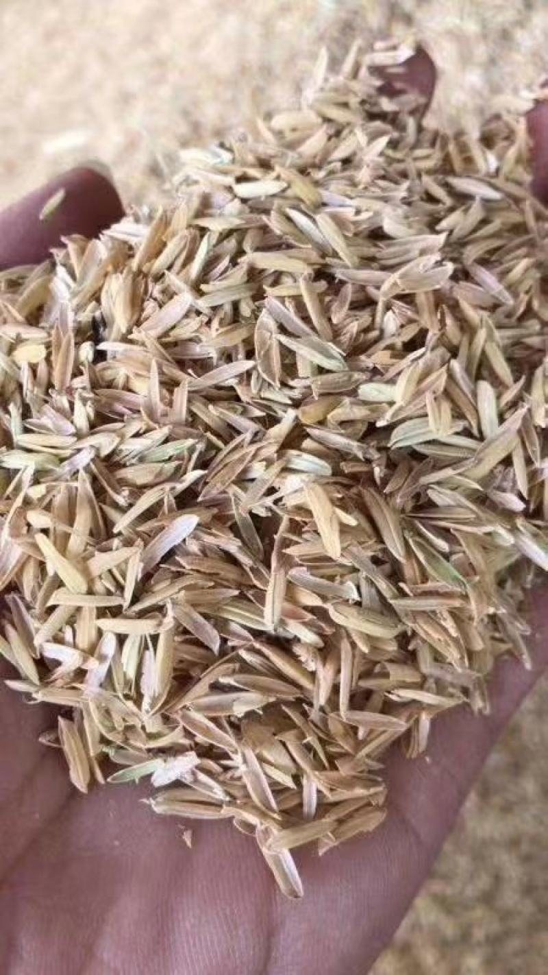 玉米芯颗粒压块压缩包玉米棒子玉米糊白色玉米芯红色玉米芯