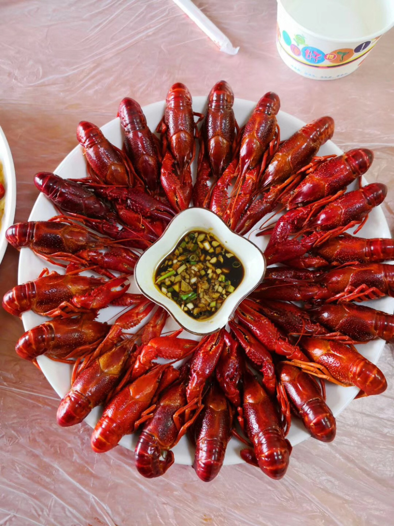 德炎麻辣小龙虾即食调味虾十三香冷冻保鲜湖北特产
