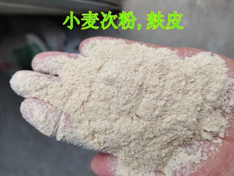 奶牛棉籽黄牛棉籽育肥饲料棉粕光籽不孕籽棉饼牧场棉籽