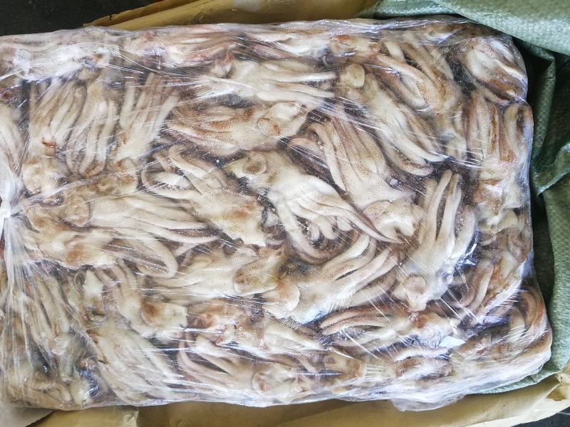 鱿鱼头鱿鱼头原料机洗鱿鱼头阿鱿头鱿鱼须