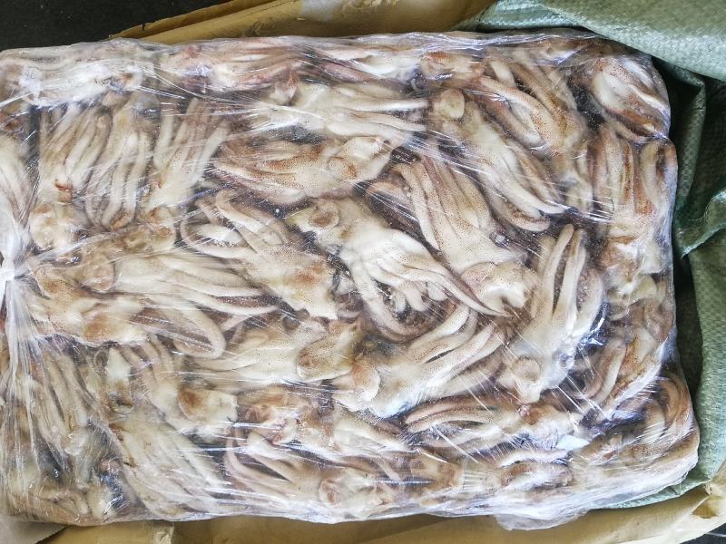 鱿鱼头鱿鱼头原料机洗鱿鱼头阿鱿头鱿鱼须