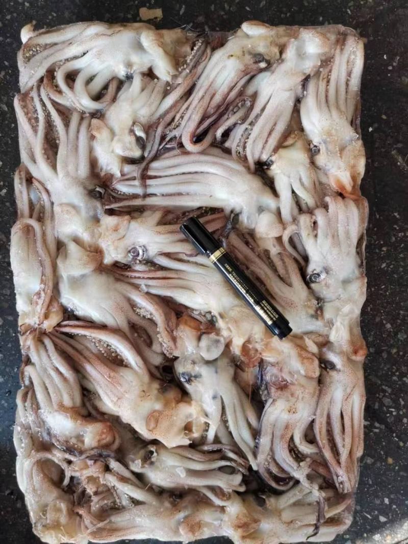 鱿鱼头鱿鱼头原料机洗鱿鱼头阿鱿头鱿鱼须