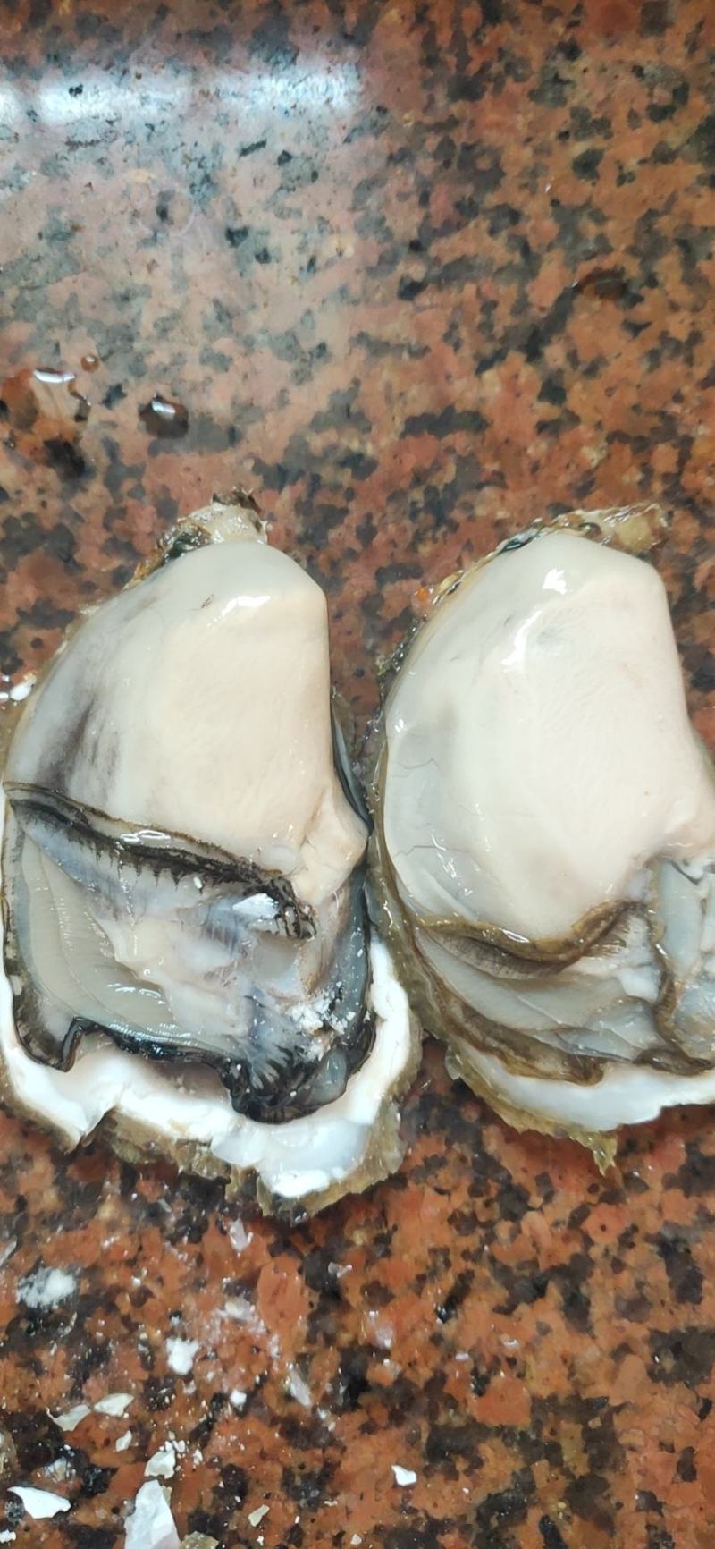 生蚝，男人的加油站，女人的美容院