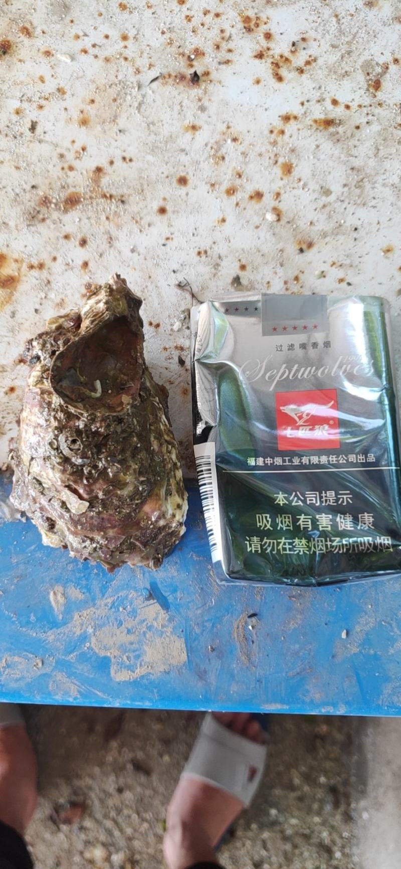 生蚝，男人的加油站，女人的美容院