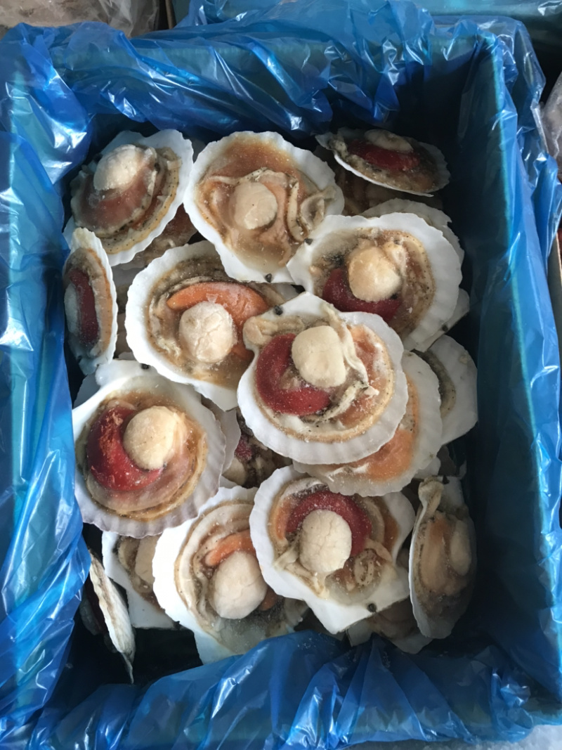 夏夷扇贝粉丝速冻海产品、、、、