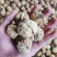 2020年新货云南薄皮泡核桃皮白仁白饱满