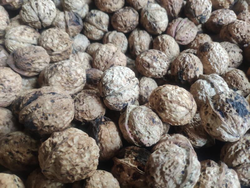 2020年新货云南薄皮泡核桃皮白仁白饱满