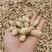 干花生，小白沙，罗汉果大量上市中，籽粒饱满，出油率高。
