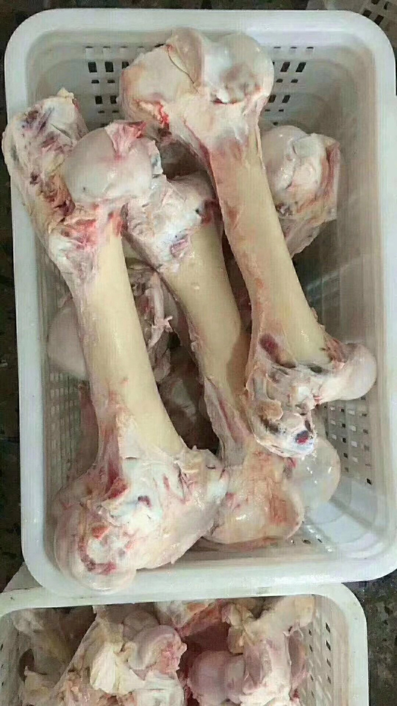 牛棒骨。纯圆棒骨、、、